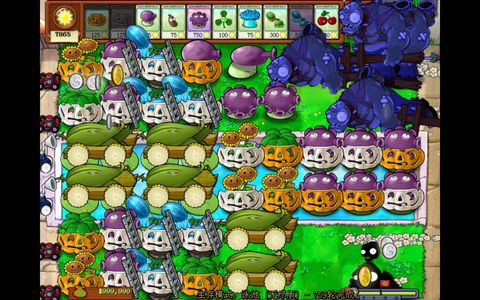 植物大战僵尸 植物大战僵尸