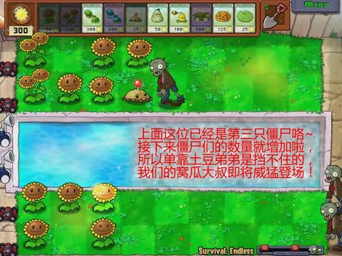 植物大战僵尸 植物大战僵尸