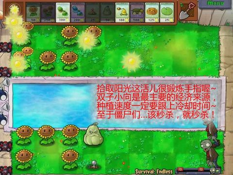 植物大战僵尸 植物大战僵尸