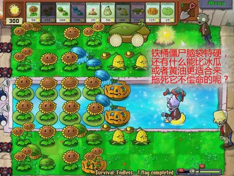 植物大战僵尸 植物大战僵尸