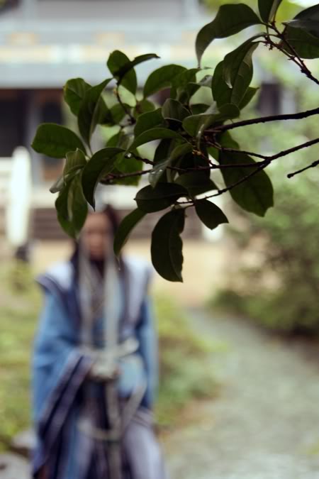 剑网3玩家精美COS欣赏 纯阳紫虚子祁进