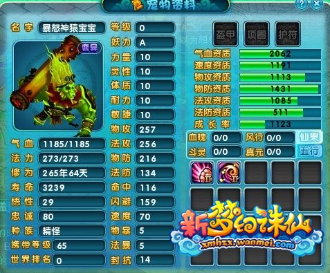 虎啸龙吟服第一只暴怒神猿宠物 给力资质