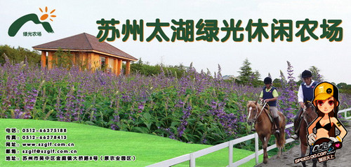 QQ飞车最新图片