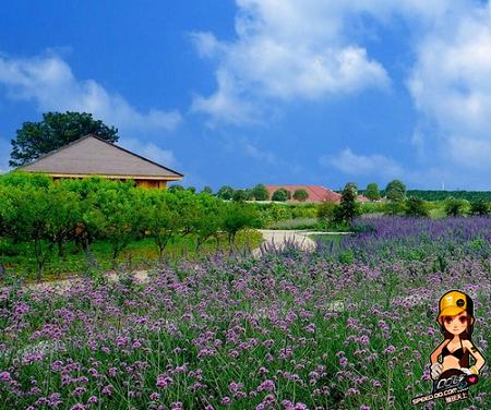 QQ飞车最新图片