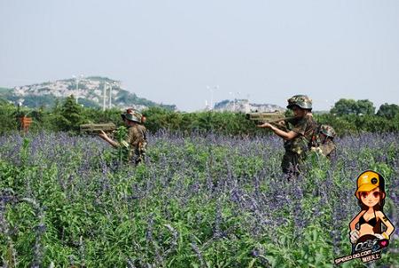 QQ飞车最新图片