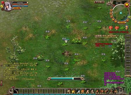 锦衣卫最新图片