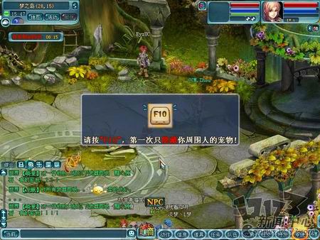 龙之大陆最新图片