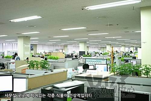 ��������ͼƬ