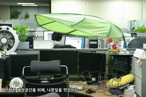 ��������ͼƬ