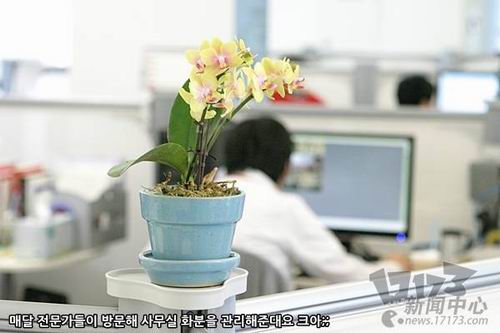 <!--infoKeyWord-->����ͼƬ