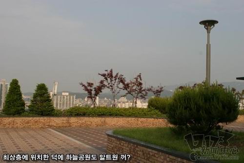 ALT1����ͼƬ