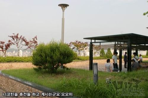 ALT1����ͼƬ