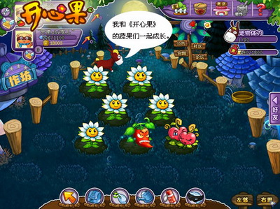 开心果最新图片