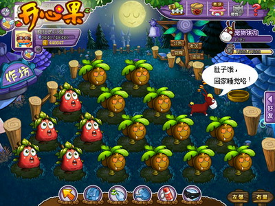 开心果最新图片