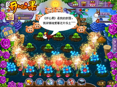 开心果最新图片