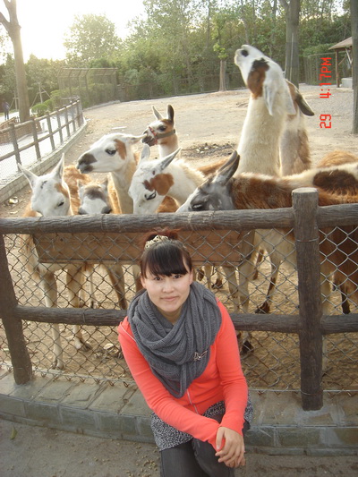 梦幻卡丁车,17173最新图片