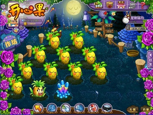 开心果最新图片