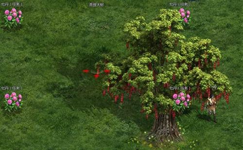 盛世三国最新图片