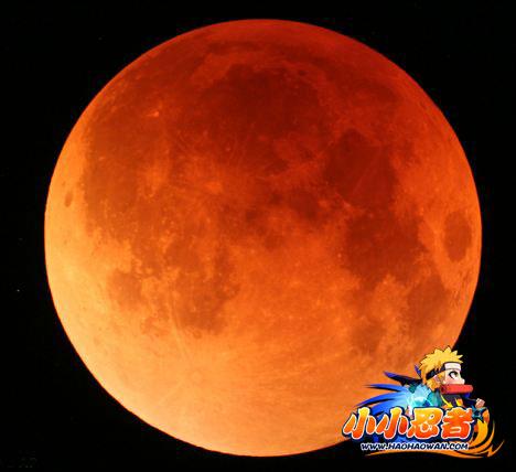 小小忍者最新图片