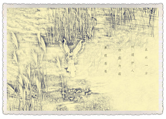 点击放大