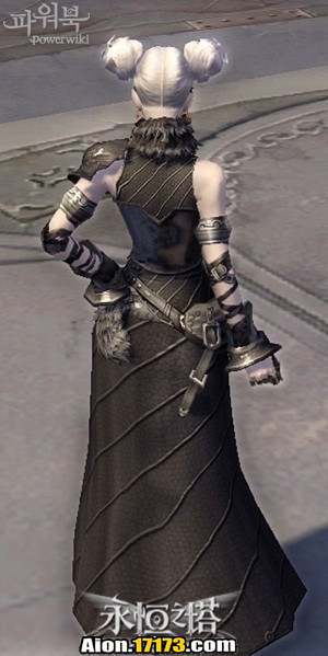 永恒之塔3.0版天魔族58级英雄级名人防具