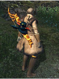 C9万圣节狂欢大揭秘 新时装道具等你拿