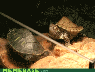 第四幕场景的重探与反思