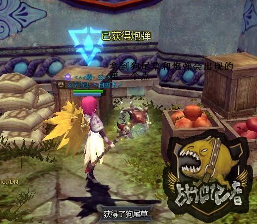 火拼兽人！龙之谷台风金巢穴新手攻略