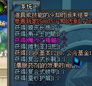 最后的冲刺 DNF投资1亿追寻无影的下落 成果篇