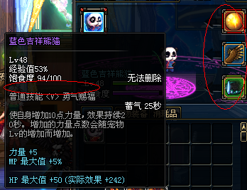 逆天宠物装备固然强 宠物戴不上也白搭