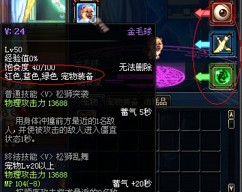 逆天宠物装备固然强 宠物戴不上也白搭