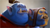 ogre magi