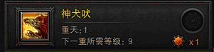 8.JPG