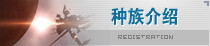 种族介绍
