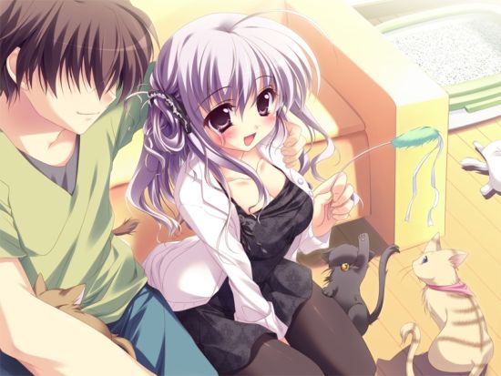 纯白交响曲 纯白交响曲