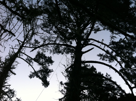 《质量效应3》太空版伦敦升空