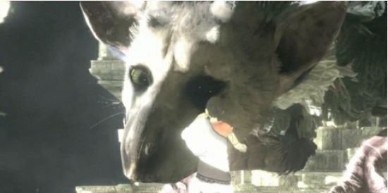 最后的守护者 最后的守护者