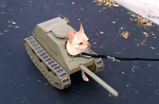 青年1105,女生第三者叫小三,男生的第三者叫什么呢? 青年1105,女生第三者叫小三,男生的第三者叫什么呢?