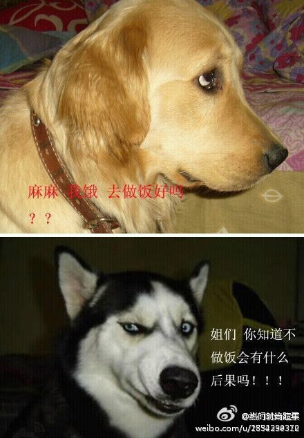 青年1105,女生第三者叫小三,男生的第三者叫什么呢? 青年1105,女生第三者叫小三,男生的第三者叫什么呢?