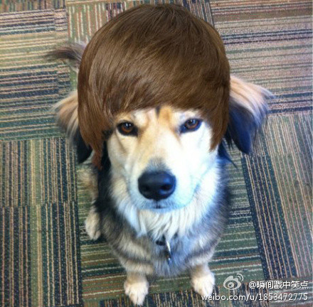 青年1105,女生第三者叫小三,男生的第三者叫什么呢? 青年1105,女生第三者叫小三,男生的第三者叫什么呢?