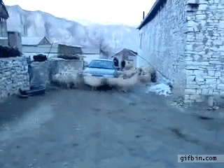  青年1106，一大早就收到了孤老终身的噩耗。