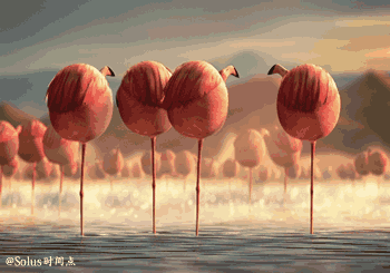  青年1106，一大早就收到了孤老终身的噩耗。