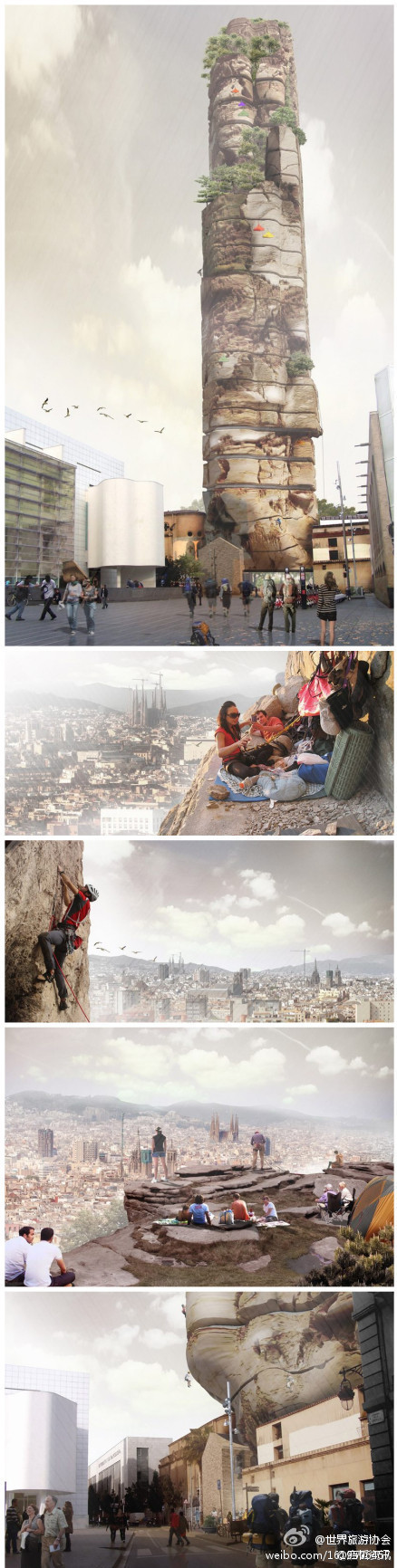  青年1106，一大早就收到了孤老终身的噩耗。