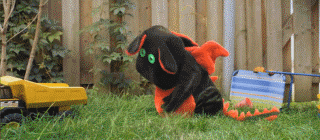  青年1106，一大早就收到了孤老终身的噩耗。