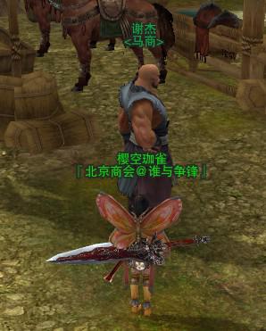 各主城坐骑及属性一览