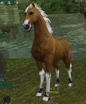 各主城坐骑及属性一览