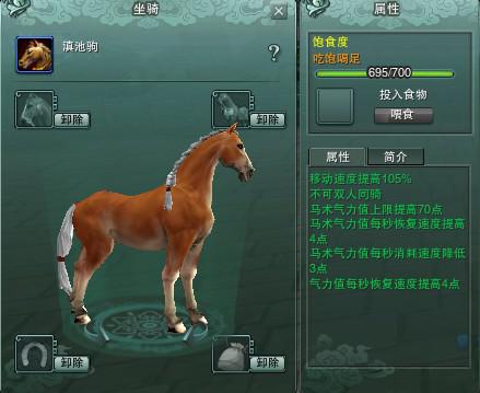 马属性.jpg