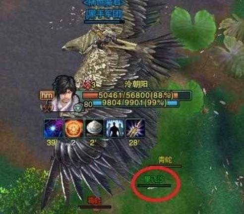 那些悲剧的抓马人(2)