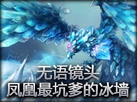 无语镜头：我见过凤凰最坑爹的冰墙