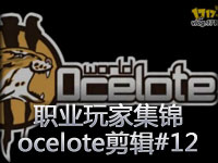 SK战队职业选手ocelote迷你剪辑#12